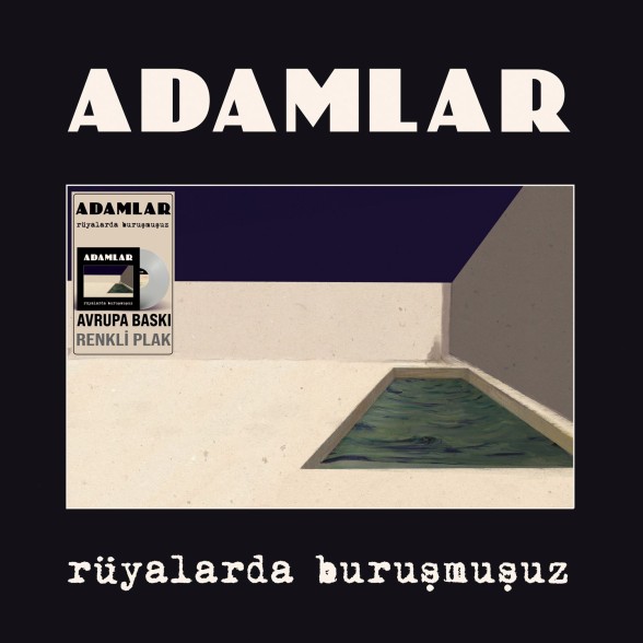 Adamlar: Rüyalarda Buruşmuşuz (Renkli Plak) - Plak Foto #1