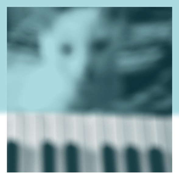 Peter Broderick: Piano Works Vol.1 (Floating In Tucker's Basement) (Limited Edition - Clear Vinyl) - Plak Foto #1