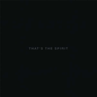 Bring Me The Horizon: That's The Spirit - Plak