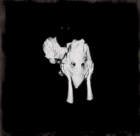 Sigur Rós Plak, CD ve DVD Satın Al | Opus3a
