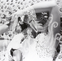 Björk: Vespertine - CD