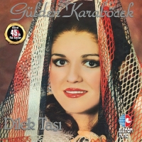 Gülden Karaböcek: Dilek Taşı - Plak