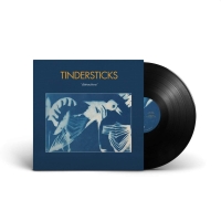 Tindersticks: Distractions - Plak