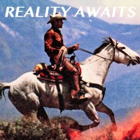 The Strokes: Reality Awaits (Limited Indie Exclusive Edition - Black Ice Glitter Vinyl) - Plak