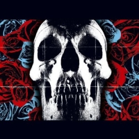 Deftones CD アルバム コレクション Deftones, The - Private Music CD (alt cover) - Wax Trax Records