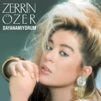 Zerrin Özer: Dayanamıyorum - Plak
