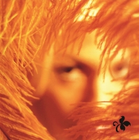 Stone Temple Pilots Plak, CD ve DVD Satın Al | Opus3a