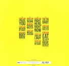 Fatboy Slim: The Best Of - Plak Foto #2