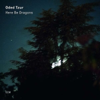 Oded Tzur: Here Be Dragons - Plak