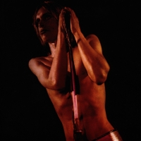 Iggy & The Stooges: Raw Power (Orange White Marble Vinyl - National Album Day 2025) - Plak