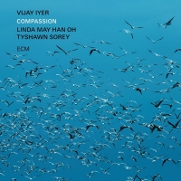 Vijay Iyer: Compassion - CD