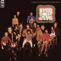 Blood, Sweat & Tears: Child Is Father To The Man - Plak