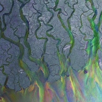 Alt-J: An Awesome Wave - CD