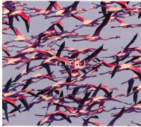 Deftones: Gore - CD