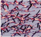 Deftones: Gore - CD Foto #1