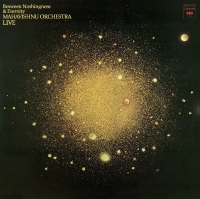 The Mahavishnu Orchestra: Between Nothingness & Eternity (Live) - Plak