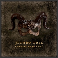 Jethro Tull: Curious Ruminant - Plak