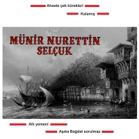 Münir Nurettin Selçuk - Plak