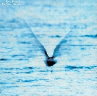 Ryo Fukui: Mellow Dream - Plak