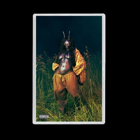 SZA: SOS Deluxe: Lana (Deluxe) - Kaset Foto #2