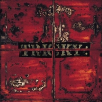 Tricky: Maxinquaye - Plak