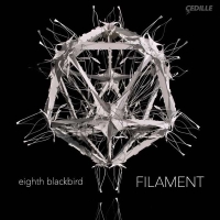 Bryce Dessner, Nico Muhly: Eighth Blackbird - Filament - Plak