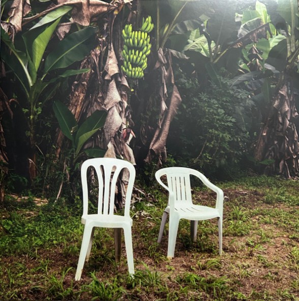 Bad Bunny: Debi Tirar Mas Fotos (Opaque White Vinyl) - Plak Foto #1