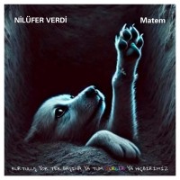 Nilüfer Verdi: Matem - Plak
