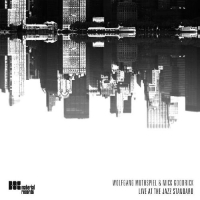 Wolfgang Muthspiel, Mick Goodrick: Live At The Jazz Standard 2008 - CD