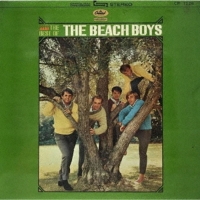 The Beach Boys Plak, CD ve DVD Satın Al | Opus3a