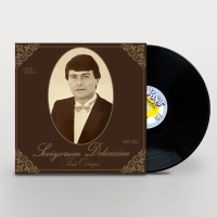 Ferdi Özbeğen: Seviyorum Delicesine - Plak