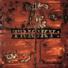 Tricky: Maxinquaye - Plak Foto #1