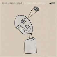 Meshell Ndegeocello: The Omnichord Real Book - Plak