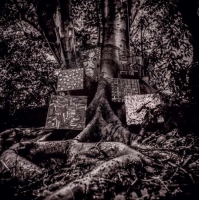 Kamasi Washington: Harmony Of Difference - CD
