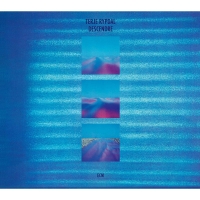 Terje Rypdal: Descendre - CD