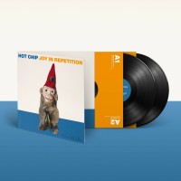 Hot Chip: Joy In Repetition (Black BioVinyl) - Plak