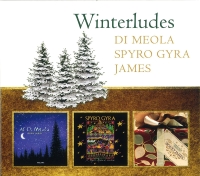 Al Di Meola, Spyro Gyra, Boney James: Winterludes - CD