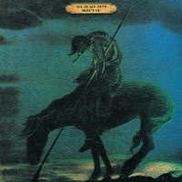 The Beach Boys Plak, CD ve DVD Satın Al | Opus3a