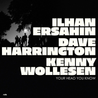 İlhan Erşahin, Dave Harrington, Kenny Wollesen: Your Head You Know - Plak