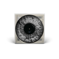 Arcade Fire: We (Picture Disc) - Plak