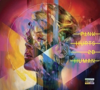 Pink: Hurts 2B Human - CD