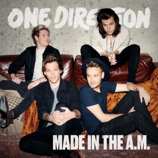 One Direction Plak, CD ve DVD Satın Al | Opus3a