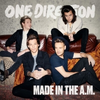 One Direction Plak, CD ve DVD Satın Al | Opus3a