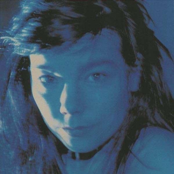 Björk: Telegram - Plak Foto #1
