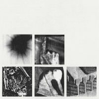 Nine Inch Nails: Bad Witch - Plak