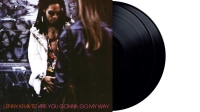 Lenny Kravitz: Are You Gonna Go My Way - Plak
