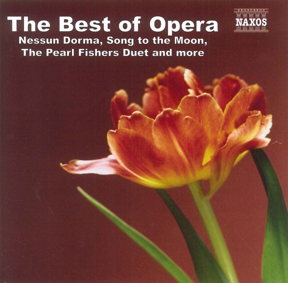 Çeşitli Sanatçılar: Best Of Opera - CD Foto #1
