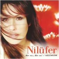 Nilüfer: Olur Mu Olur Mu / Gözün aydın - Plak