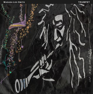 Wadada Leo Smith: Trumpet (Box Set) - CD