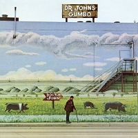 Dr. John's Gumbo - Plak